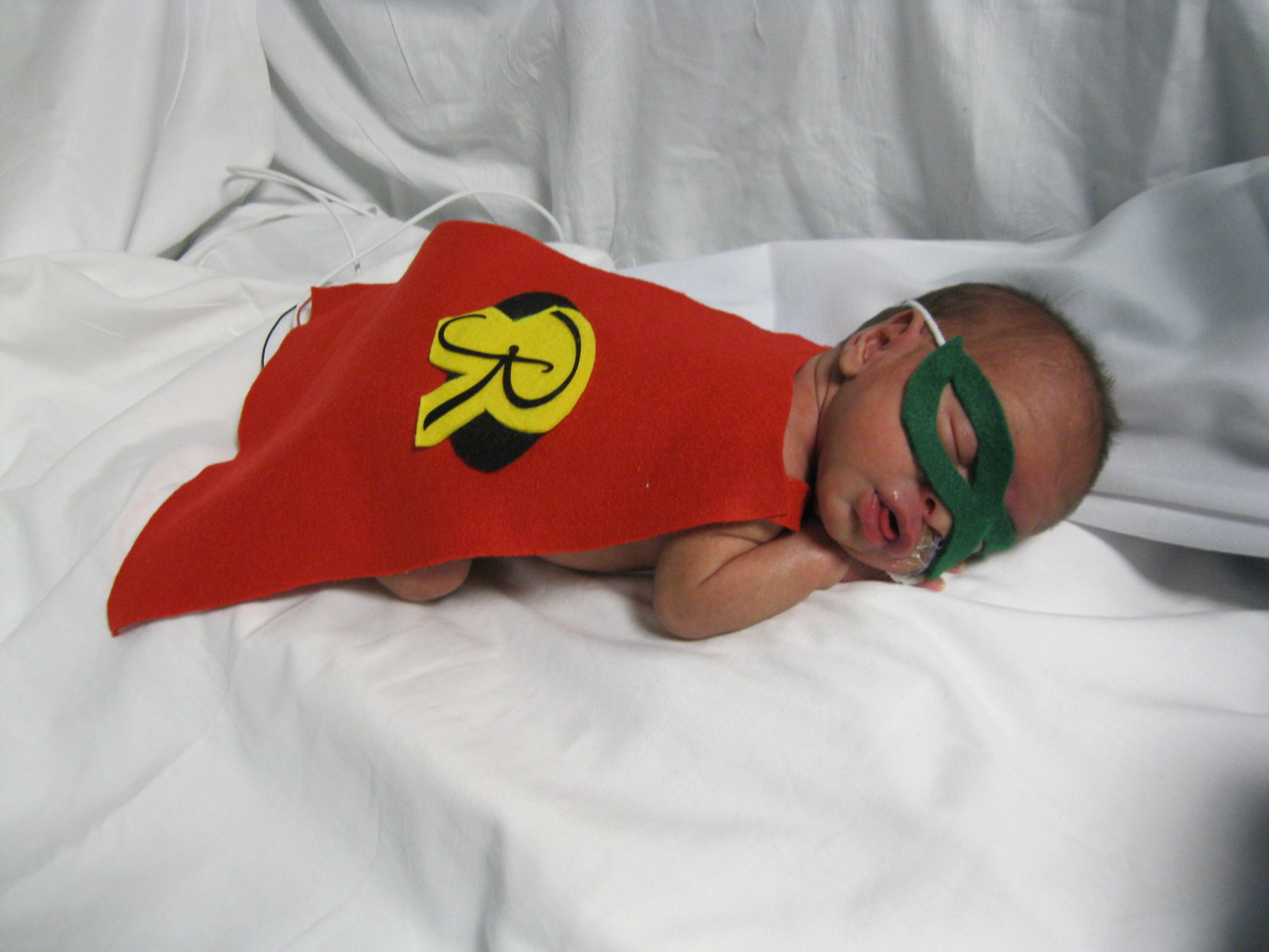 Baby Taylor.JPG